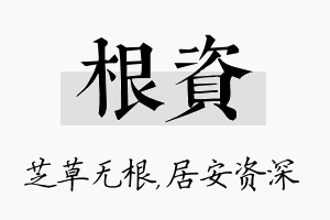 根资名字的寓意及含义