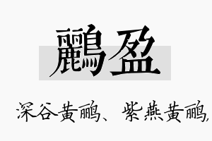 鹂盈名字的寓意及含义