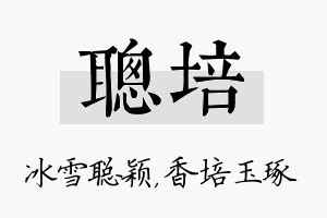 聪培名字的寓意及含义