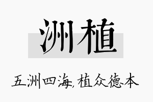 洲植名字的寓意及含义