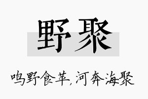 野聚名字的寓意及含义