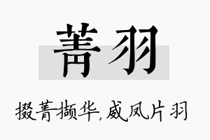 菁羽名字的寓意及含义