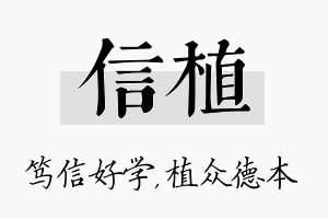 信植名字的寓意及含义