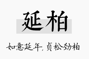 延柏名字的寓意及含义