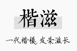 楷滋名字的寓意及含义