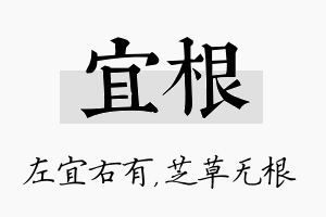 宜根名字的寓意及含义