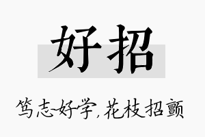 好招名字的寓意及含义