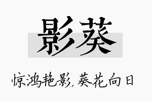 影葵名字的寓意及含义