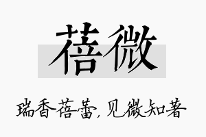 蓓微名字的寓意及含义