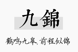 九锦名字的寓意及含义