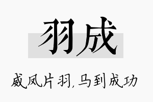 羽成名字的寓意及含义