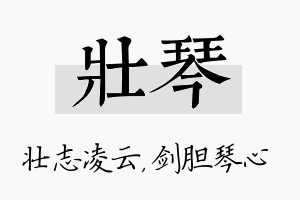 壮琴名字的寓意及含义