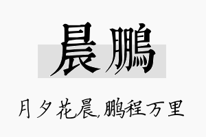 晨鹏名字的寓意及含义