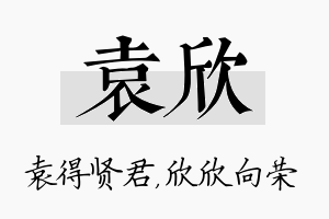 袁欣名字的寓意及含义