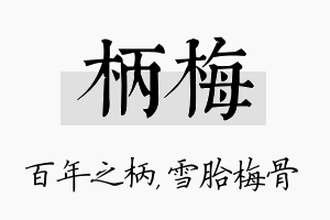 柄梅名字的寓意及含义