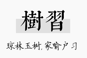 树习名字的寓意及含义