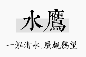 水鹰名字的寓意及含义