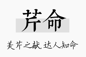 芹命名字的寓意及含义