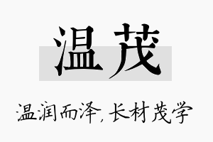 温茂名字的寓意及含义