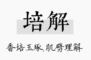 培解名字的寓意及含义