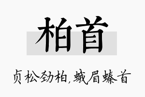 柏首名字的寓意及含义