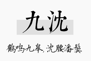 九沈名字的寓意及含义