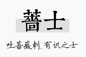 蔷士名字的寓意及含义