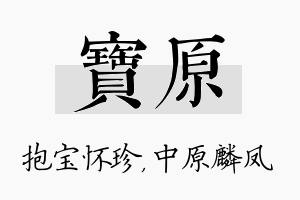 宝原名字的寓意及含义