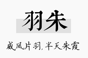 羽朱名字的寓意及含义