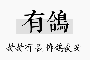 有鸽名字的寓意及含义