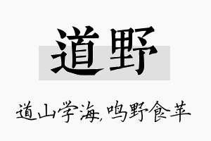 道野名字的寓意及含义