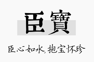 臣宝名字的寓意及含义