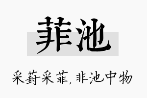 菲池名字的寓意及含义