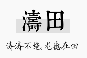 涛田名字的寓意及含义