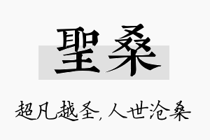 圣桑名字的寓意及含义