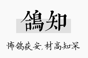 鸽知名字的寓意及含义