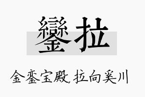 銮拉名字的寓意及含义