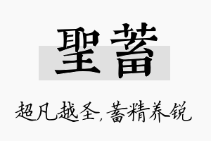 圣蓄名字的寓意及含义