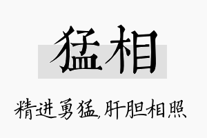 猛相名字的寓意及含义