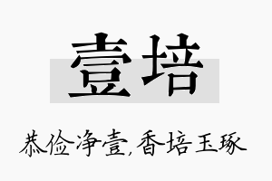 壹培名字的寓意及含义