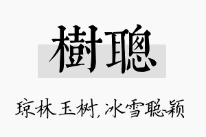 树聪名字的寓意及含义