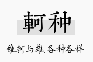 轲种名字的寓意及含义