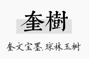 奎树名字的寓意及含义