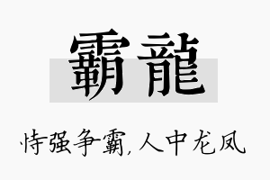 霸龙名字的寓意及含义