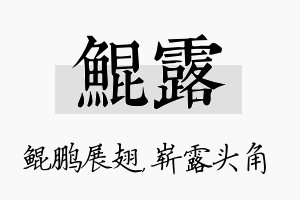 鲲露名字的寓意及含义