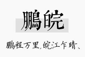 鹏皖名字的寓意及含义