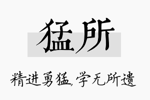 猛所名字的寓意及含义