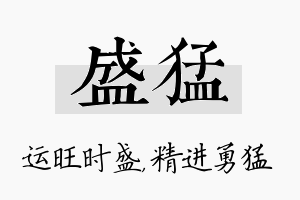 盛猛名字的寓意及含义