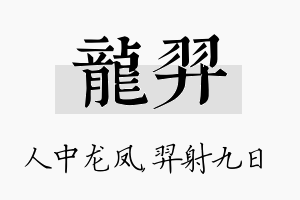 龙羿名字的寓意及含义