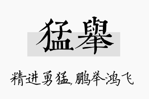 猛举名字的寓意及含义